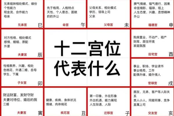 紫薇斗数看配偶姓名