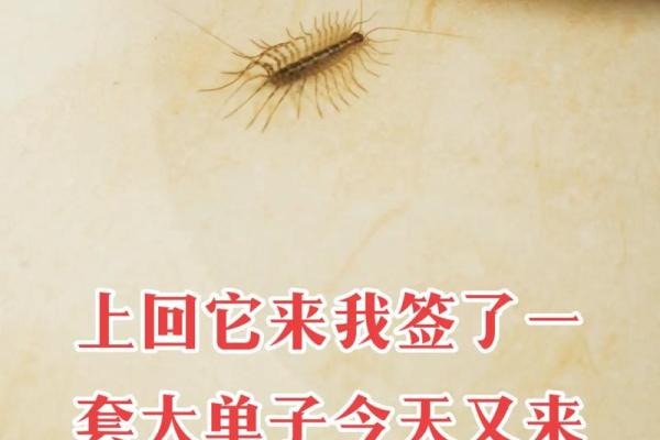 测签灵不灵