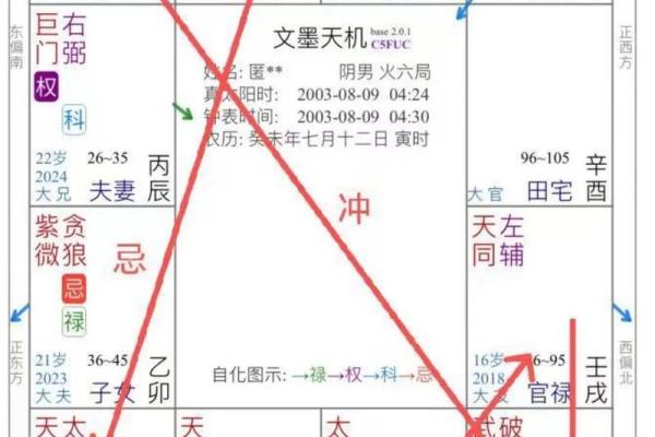 紫薇斗数看财运格局
