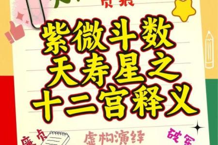 用我的八字推出来了，喜欢紫微斗数。