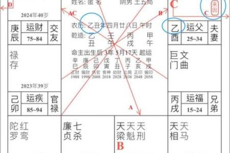 紫薇斗数双化科