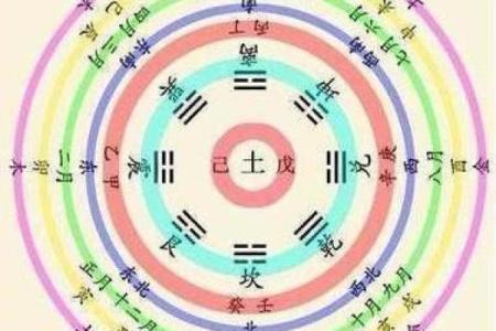 网易八字