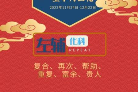 紫薇斗数批流月
