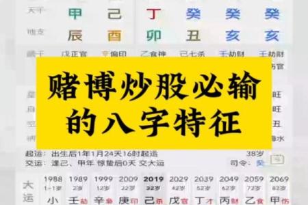 靠技术赚钱的八字，会赚钱的八字