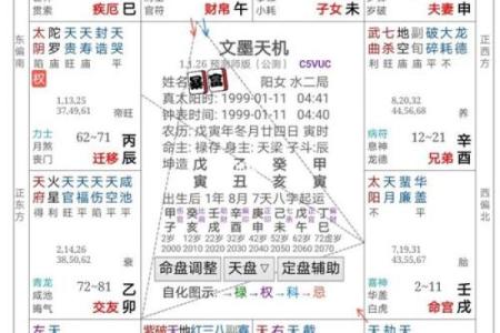 紫微斗数排盘天魁星坐命宫分析,十二宫分析