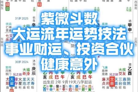 紫薇斗数今日运势