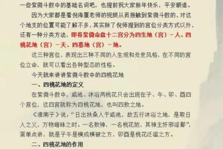 紫薇斗数解释意思