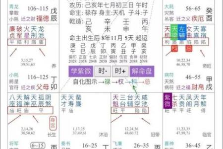 紫微斗数诸星落诸宫之：父母宫