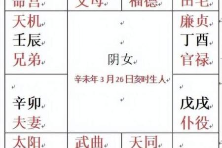 紫薇斗数命盘案例