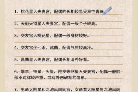 作家的紫薇斗数