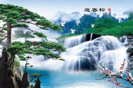 效果很好的八大招财的客厅风水