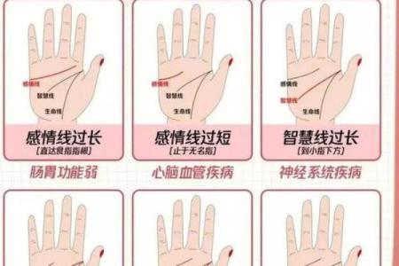 梦见看手相算命