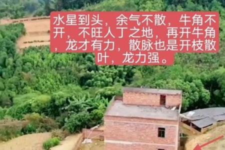 房子长期不住人，这些风水影响可别忽略！