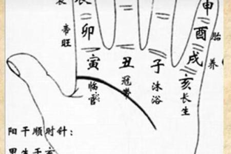紫薇斗数中临官