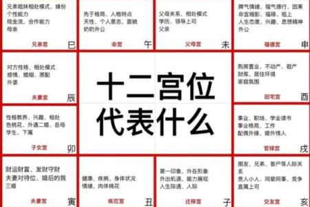 紫薇斗数看配偶姓名