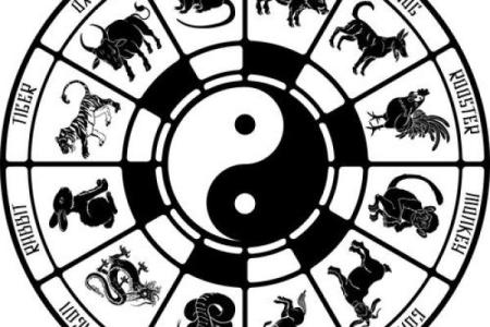 哪个生肖不宜养龟风水