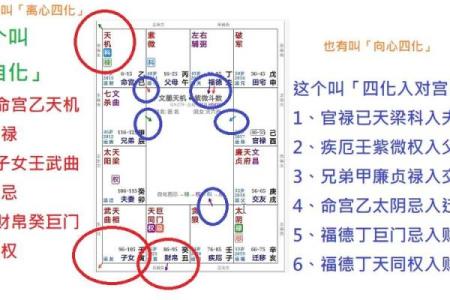 紫薇斗数教学设计