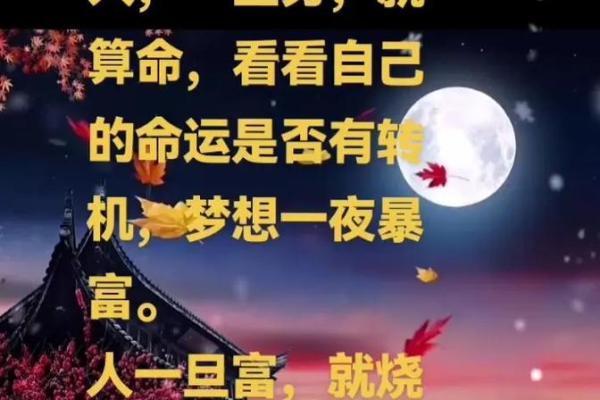 手机免费算命不求人