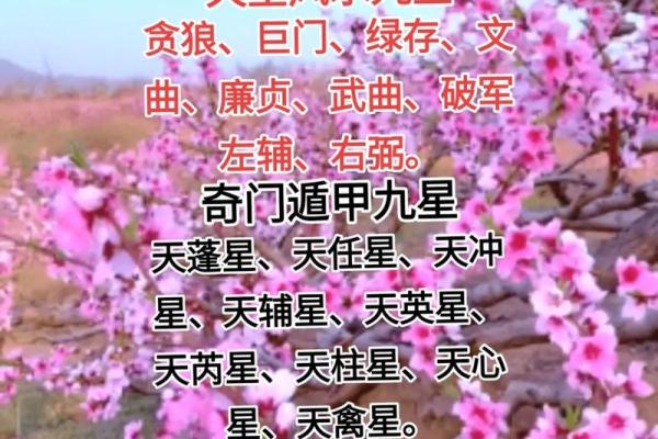 九星风水的知识你一定要了解