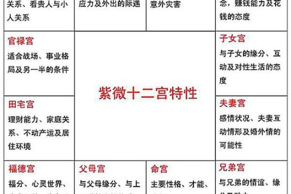紫薇斗数空宫详解,父母空宫的人命好吗