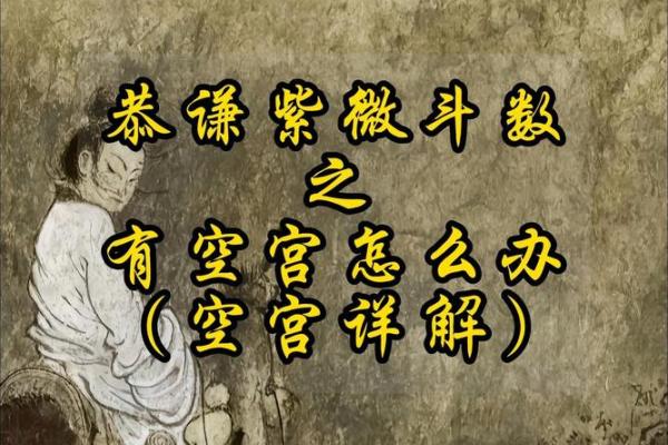 紫薇斗数空宫详解,父母空宫的人命好吗