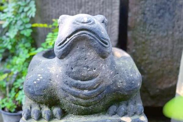 风水的方位_乌龟代表哪个方向