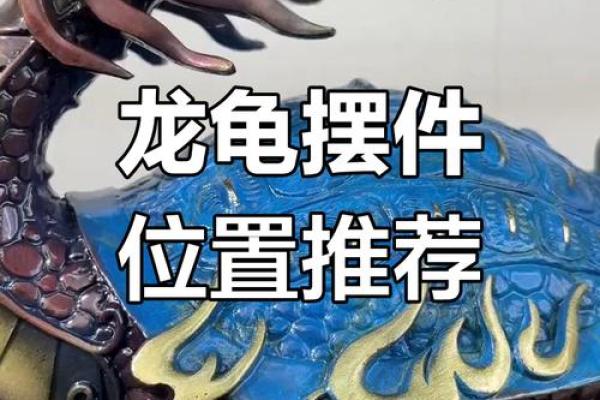 风水摆件龙龟的摆放学问有哪些
