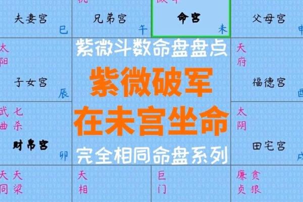 紫薇斗数明星命