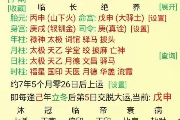 八字巳申