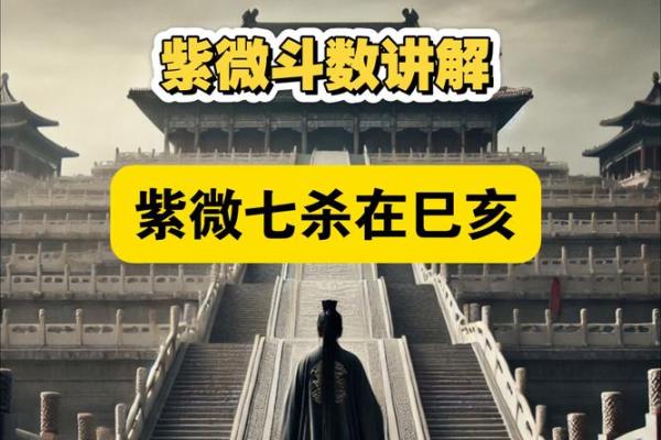 紫云紫薇斗数视频