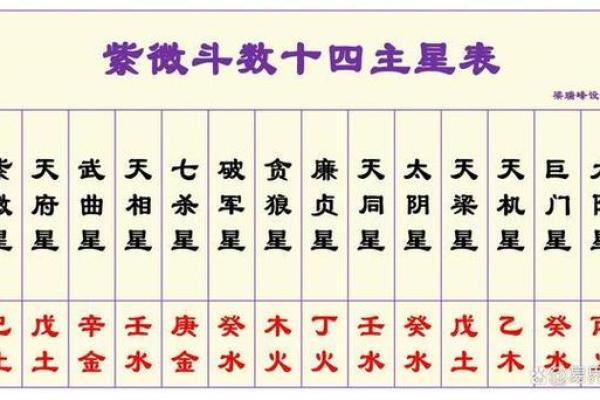 紫薇斗数中的加什么意思