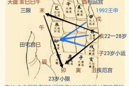 一掌经算命实例