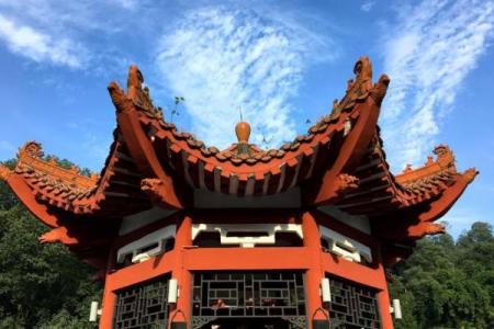 八字带青衣童子，揭秘道士神秘仪式，为你解答！