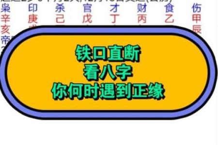 免费测紫薇斗数app