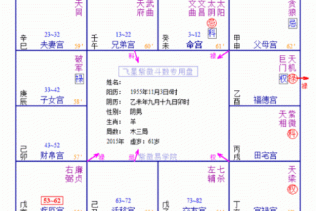 紫薇斗数的大迁移