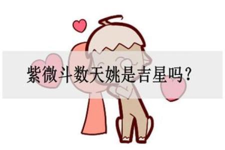 什么是紫微斗数中的天姚 紫微斗数 天姚？