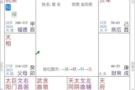 紫薇斗数看事业方位