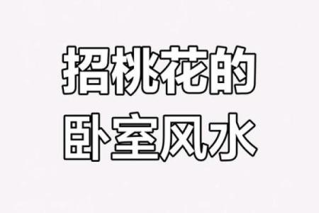 办公室女性招桃花运风水布局 用了桃花运简直不要太好