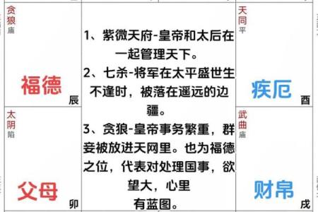 加紫薇斗数术语