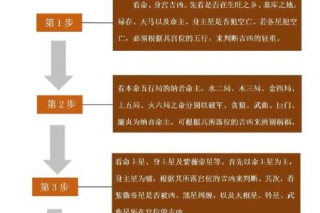 大运紫微斗数命盘查询详解 紫微斗数大运什么意思？