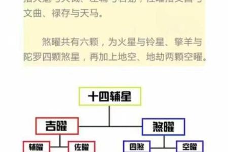 东京紫薇斗数入门
