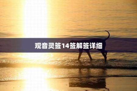 观音灵签第14签婚姻解签