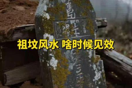 祖坟风水好见效快，如果你不知道可以看看这篇文章！