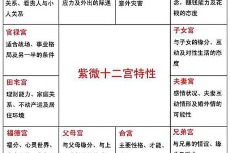 紫薇斗数空宫详解,父母空宫的人命好吗