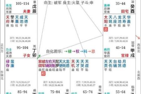 紫微斗数排盘廉贞星坐兄弟宫,廉贞星坐兄弟宫的意义