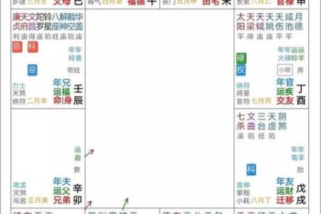 紫微斗数命理网 紫微斗数命理学正解？