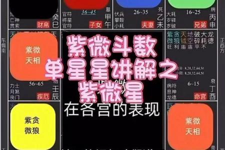 紫微斗数陀螺在戊寅 紫微陀螺星？