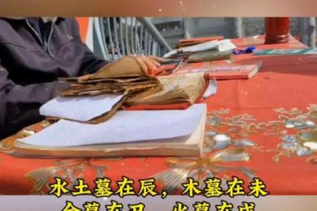 八字未库