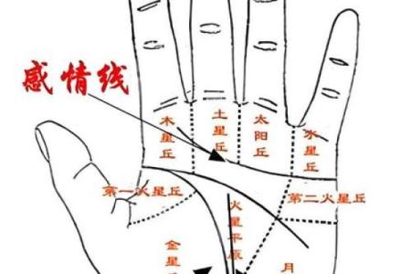 算命的说手相句子
