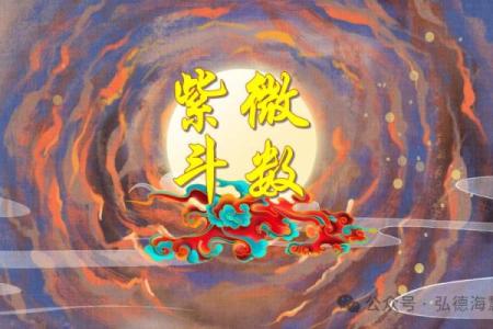 紫薇斗数野性美